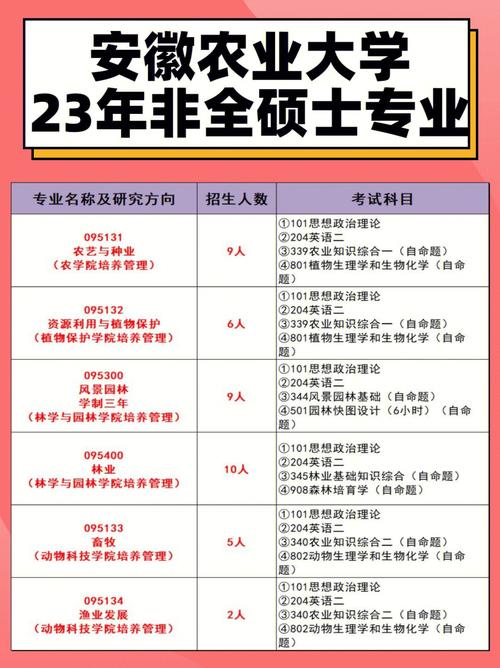 安徽法律非全考研学校解析