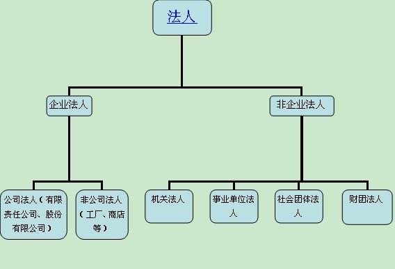 公司的法律地位