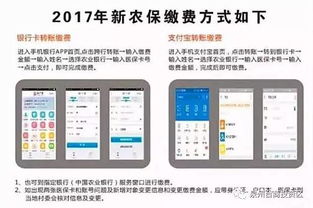 沈阳新农保缴费标准