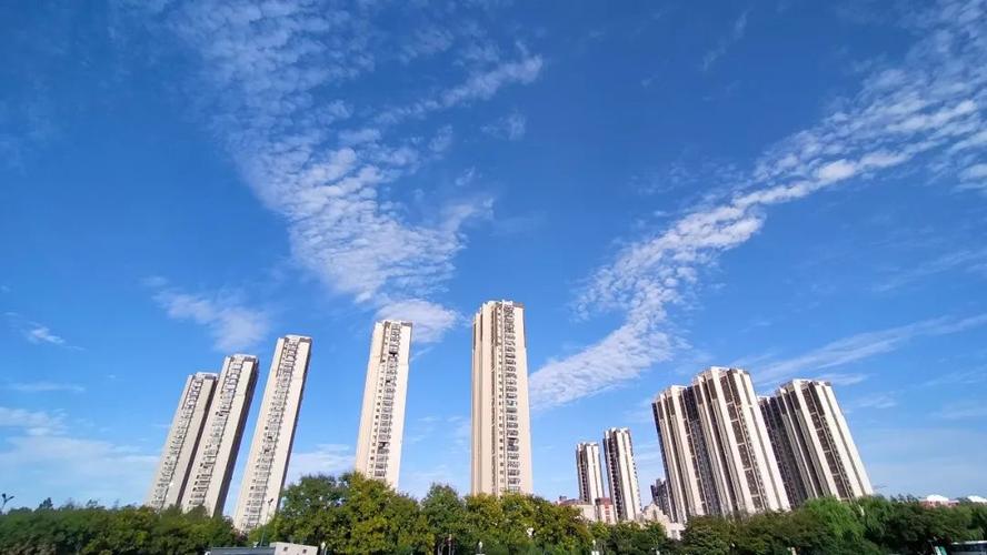 新政概述