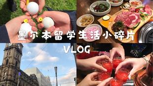 在澳洲当牙医助理的要求