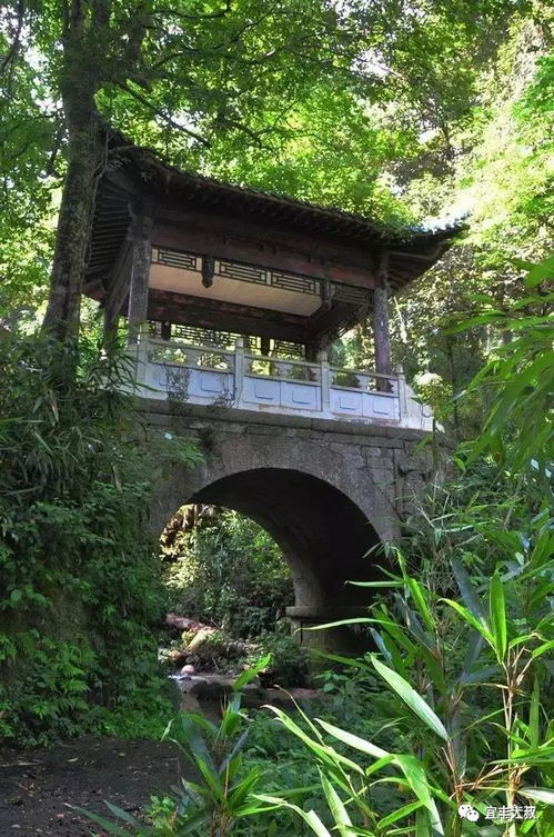 黄梅县五祖桥洞加油站拆迁