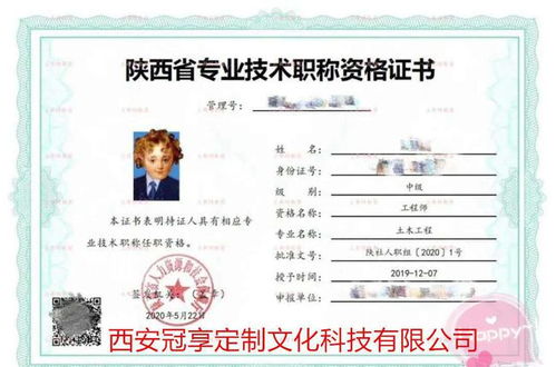 移民职称证书