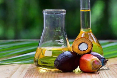 油脂周报美加种植面积或调整，棕榈油累库节奏偏慢