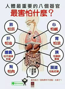 龙源电力估值