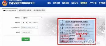 汽车违章查洵