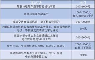 怎么交违章罚款