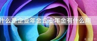 放弃企业年金是什么意思