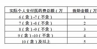 大病自费超3万民政补助