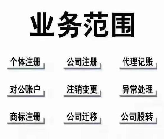 垫资公司运营周报市场动态与策略调整