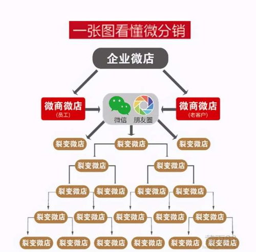 分销商的角色与功能市场流通的关键环节