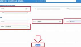 一次性伤残补助金怎么查询