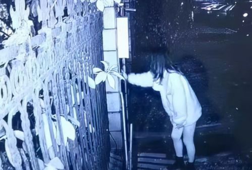 四川失联女子牵动人心，探寻真相的十天