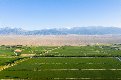 农业补贴政策及每亩补贴金额考试大纲