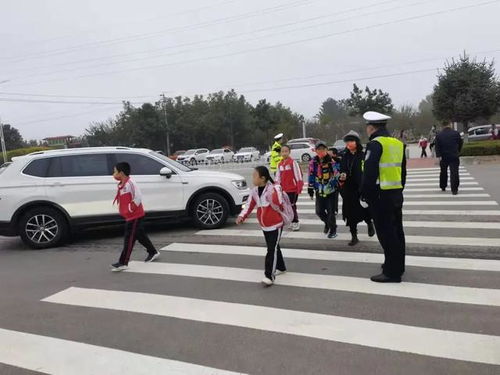 安装交管12123app