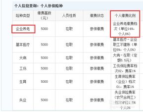 企业社保缴费指南权威数据与专业解读