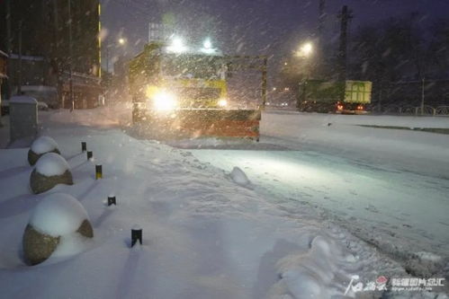 新疆八月惊现暴雪，气候异常引发关注