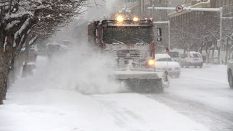 新疆八月惊现暴雪，气候异常引发关注