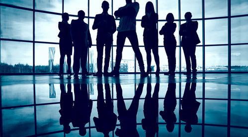 揭秘副处级背后的真相，一名团队司机的真实身份