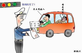 外交豁免权，保护伞还是特权滥用？