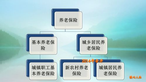 居民养老保险缴费标准详解，为未来养老早做准备