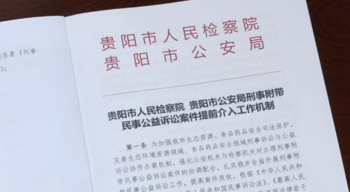 刑事附带民事诉讼代理词，正义与赔偿并行