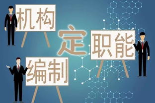 自媒体特稿以责任为舟，共济公益之海——公益事业单位的温暖与力量