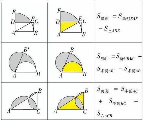 超详细教程如何轻松计算各种形状的面积？——让数学不再难！