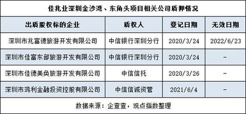 自媒体视角下的税率解读，理解税率背后的逻辑与影响