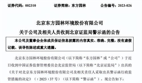 公司债券承销人的角色与职责，全方位解析