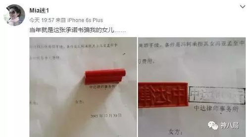 离婚律师费用揭秘，影响因素与合理预算指南