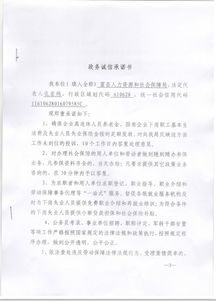 投标保密承诺书，企业诚信与安全的坚固防线