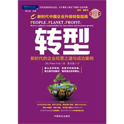 创业新纪元，揭秘新成立公司的成功之道