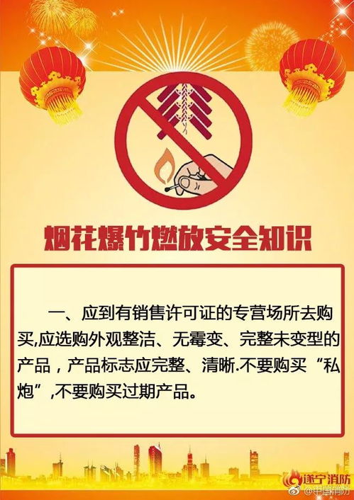 燃放烟花，安全第一 —— 烟花爆竹安全管理条例解读与实践