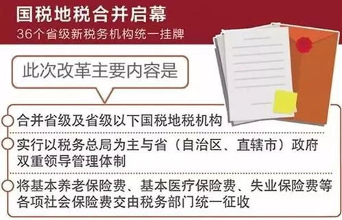 地税征收的税种揭秘，了解地方税收体系，让生活更透明