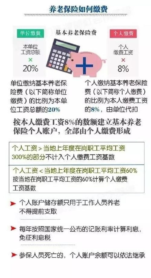 农村养老保险制度，构建老年生活保障网