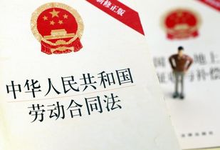 2023年最新劳动合同法解析，职场人的权利与义务全解读