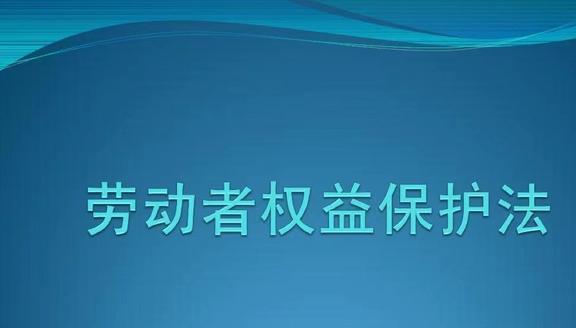 2023年最新劳动合同法解析，职场人的权利与义务全解读