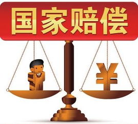 行政赔偿法，保护公民权益的坚实盾牌——解析中国行政赔偿法的核心要义与实践应用