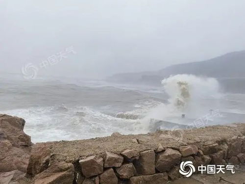 南京面临挑战，普拉桑带来的9级大风与暴雨考验