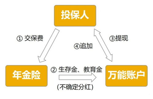 掌握贷款利息计算，让理财更轻松
