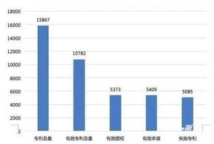 从法理到人情，一起交通事故诉讼案的深度剖析