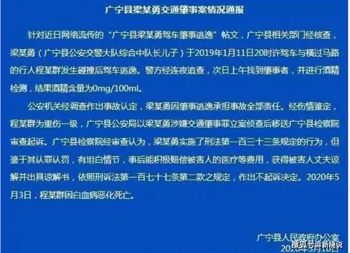 从法理到人情，一起交通事故诉讼案的深度剖析