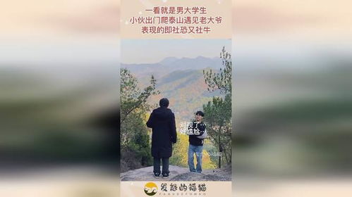 男大学生的泰山之旅，情绪价值的极致体验