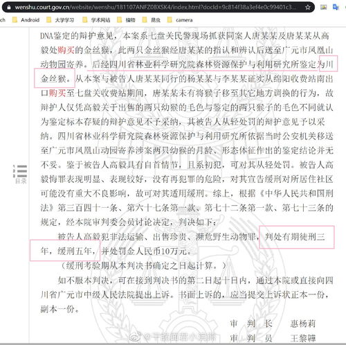 从法律视角解读，如何正确撰写刑事上诉状