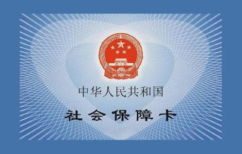 养老保险会多吗