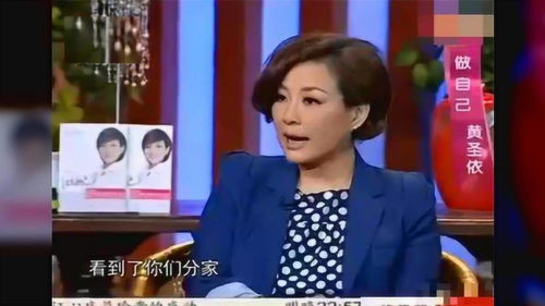 黄圣依杨子持股公司仅两家，深度探究背后的商业智慧与策略
