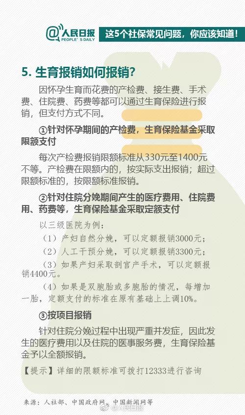 东莞社会保险，全面解析与实用指南