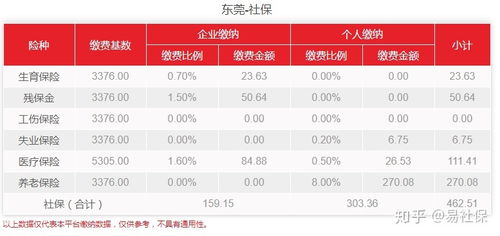 东莞社会保险，全面解析与实用指南