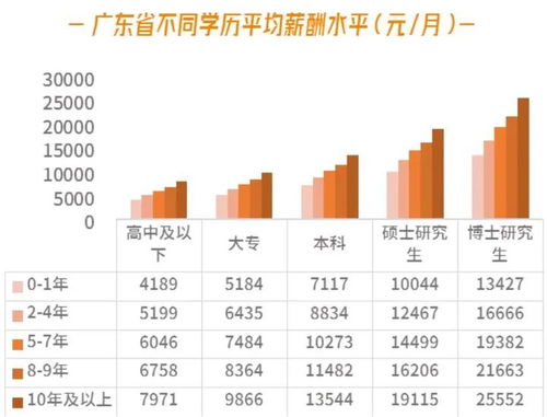 朝阳区财政工资揭秘，你了解多少？